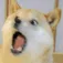 User satojin219